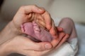 Woman hands holding new born baby feet Royalty Free Stock Photo