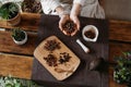 Woman hands holding organic cacao beans for ceremony