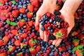 Woman hands holding organic fresh berries against the background of strawberry, blueberry, blackberries, currant, mint