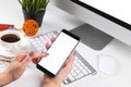 Woman hands holding the phone with isolated screen and cup of coffee. Business workplace with computer, glasses and business