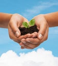 Woman hands holding plant in soil Royalty Free Stock Photo