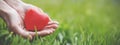 Woman hands holding red heart shape on the green grass background. Royalty Free Stock Photo