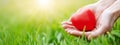 Woman hands holding red heart shape on the green grass background. Royalty Free Stock Photo