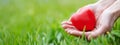 Woman hands holding red heart shape on the green grass background. Royalty Free Stock Photo