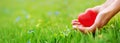 Woman hands holding red heart shape on the green grass background. Royalty Free Stock Photo