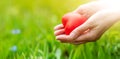 Woman hands holding red heart shape on the green grass background Royalty Free Stock Photo