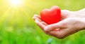 Woman hands holding red heart shape on the green grass background Royalty Free Stock Photo