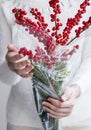 Woman hands holding red ilex verticillata or winterberry Royalty Free Stock Photo