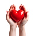 Woman hands holding red love heart shape decor thing, on white background, realistic design illustration, generative ai