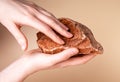 Woman hands holding red stone. Sense of touch and receiving tactile information about world concept. Naturalness Royalty Free Stock Photo