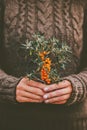 Woman hands holding sea buckthorn berries plant organic food