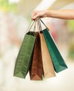 Woman hands holding shopping bags Royalty Free Stock Photo