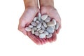 Woman hands holding small stones in hands isolated on white Royalty Free Stock Photo