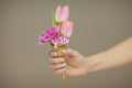 Woman hands holding spring flowers in an ice cream cone, sensual studio shot Royalty Free Stock Photo