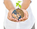 Woman hands holding tree planting on globe warming Royalty Free Stock Photo
