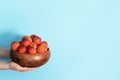 Woman hands holding wooden bowl of apricot on blue background. Banner with copy space. Fruit summer concept. Bowl of harvested Royalty Free Stock Photo