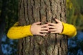 Woman hands hugging pine tree trunk in autumn forest Ecology and environment concept, eco lifestyle - change the world, protection Royalty Free Stock Photo