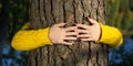 Woman hands hugging pine tree trunk in autumn forest ecology and environment concept, eco lifestyle - change the world, protection Royalty Free Stock Photo