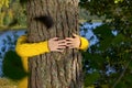 Woman hands hugging pine tree trunk in autumn forest Ecology and environment concept, eco lifestyle - change the world, protection Royalty Free Stock Photo