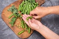 Woman hands hulled peas from shell Royalty Free Stock Photo