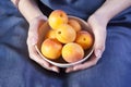 The Woman hands keeping crockery with mellow apricots