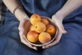 The Woman hands keeping crockery with mellow apricots