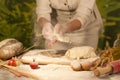 Woman hands kneading dough homemade Royalty Free Stock Photo