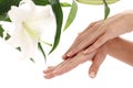 Woman hands and lilly flower Royalty Free Stock Photo