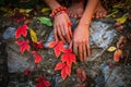 Woman hands with lot of rings and bracelets on autumn red leaves Royalty Free Stock Photo