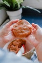 Woman hands making homemade fish burgers Royalty Free Stock Photo
