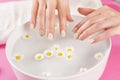 Woman hands with manicure nails and bowl with water and daisy flower