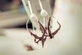 Woman hands mixing melted chocolate in the kitchen Royalty Free Stock Photo