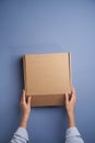 Woman hands open empty cardboard box, top view Royalty Free Stock Photo