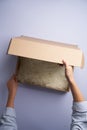 Woman hands open empty cardboard box, top view Royalty Free Stock Photo