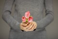 Woman hands with perfect nail art holding pink spring flowers tulips, sensual studio shot Royalty Free Stock Photo