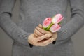 Woman hands with perfect nail art holding pink spring flowers tulips, sensual studio shot Royalty Free Stock Photo