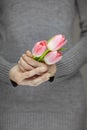 Woman hands with perfect nail art holding pink spring flowers tulips, sensual studio shot Royalty Free Stock Photo