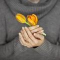 Woman hands with perfect nail art holding pink spring flowers tulips, sensual studio shot Royalty Free Stock Photo