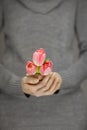 Woman hands with perfect nail art holding pink spring flowers tulips, sensual studio shot Royalty Free Stock Photo