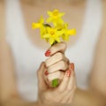 Woman hands with perfect nail art holding pink spring flowers tulips Royalty Free Stock Photo