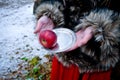 Woman hands with plate and apple winter fairy tale