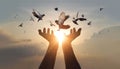 Woman hands praying and free bird enjoying nature on sunset background, hope and faith concept Royalty Free Stock Photo