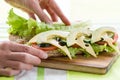 Woman hands preparing healthy breakfast making delicious sandwich Royalty Free Stock Photo