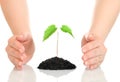 Woman hands protecting small green plant Royalty Free Stock Photo