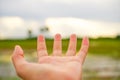 Woman hands reach out to the sky like praying. Royalty Free Stock Photo