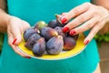 Woman hands with red nails holding a yellow plate with figs Royalty Free Stock Photo