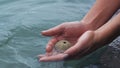 Woman hands with shell in water at the sea, ocean and beach during summer. Person on trvel vacation or holiday finger