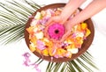 Woman Hands Spa with petals-manicure concept