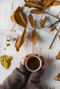 Woman hands with sweater holding cup of tea and open book with dry fallen leaf on retro wooden desk Royalty Free Stock Photo