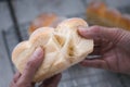 Woman hands tearing fresh baked bread to show texture inside Royalty Free Stock Photo